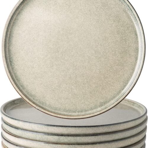 AmorArc Dinner Plates Set of 6, 10.5 Inch Reactive Glaze Ceramic Plates Set, Microwave, Dishwasher Safe, Scratch Resistant, Modern Large Dinnerware Dishes Set Kitchen Stoneware Plates